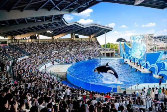 上海旅游节62家景区限时半价！这些游客可免票(图2)