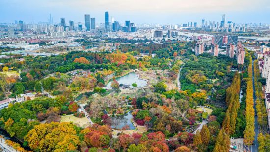 上海旅游节62家景区限时半价！这些游客可免票(图3)