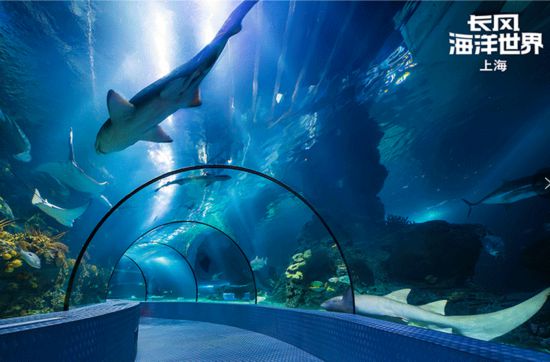 上海旅游节62家景区限时半价！这些游客可免票(图4)