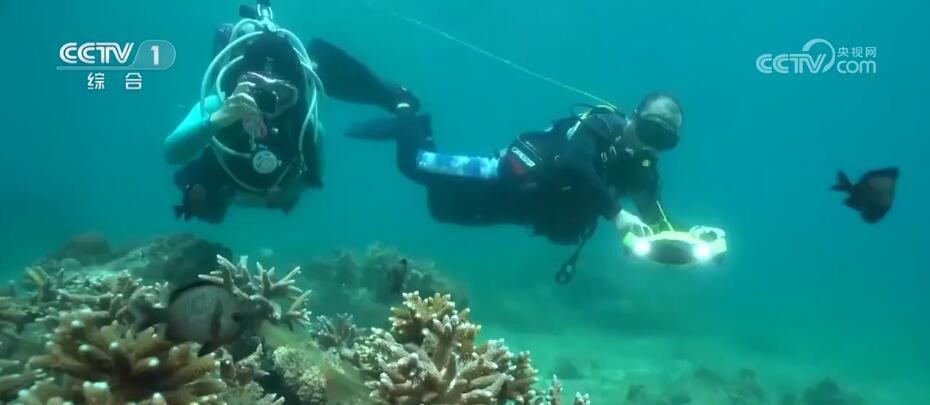 守护海洋家园 我国海洋生物多样性显著提高 生态环境状况稳中趋好(图3)