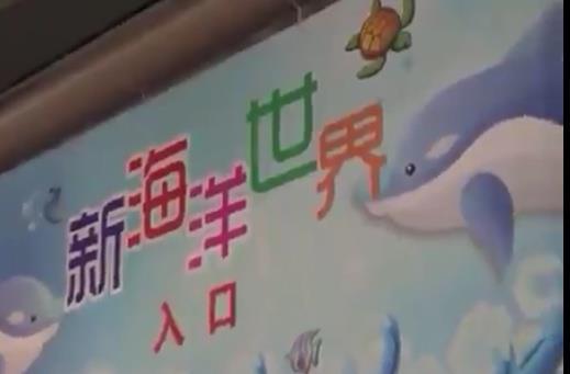 几个鱼缸就称海洋世界石桥铺新海洋世界欺骗观众(图2)