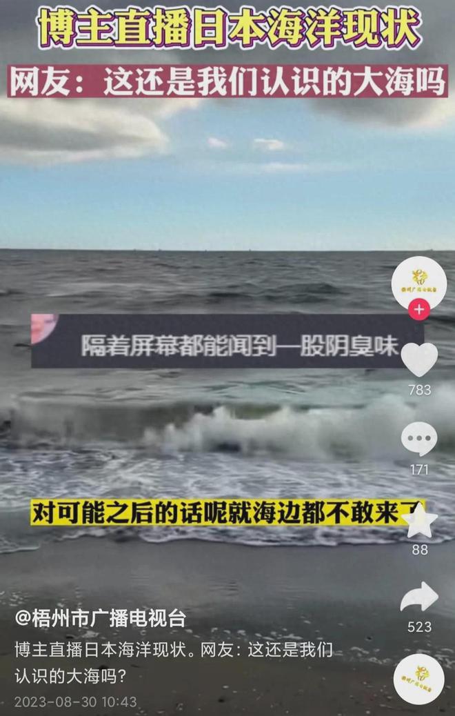 日本海洋生物现状 海水发黑发臭一海滩遍地鳗鱼尸体(图6)