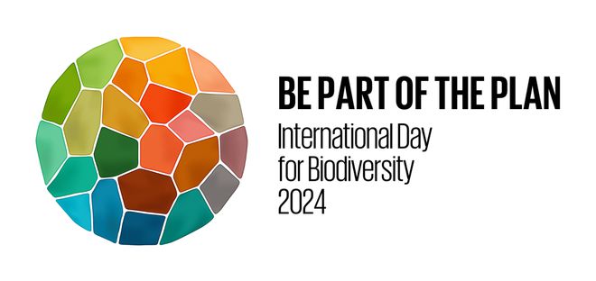 2024国际生物多样性日我们鲎会有期！(图14)