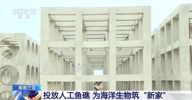 16个人工鱼礁入海 海洋生物添“新家”(图2)