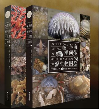 2024年涠洲岛海洋观察节日程和攻略(图9)