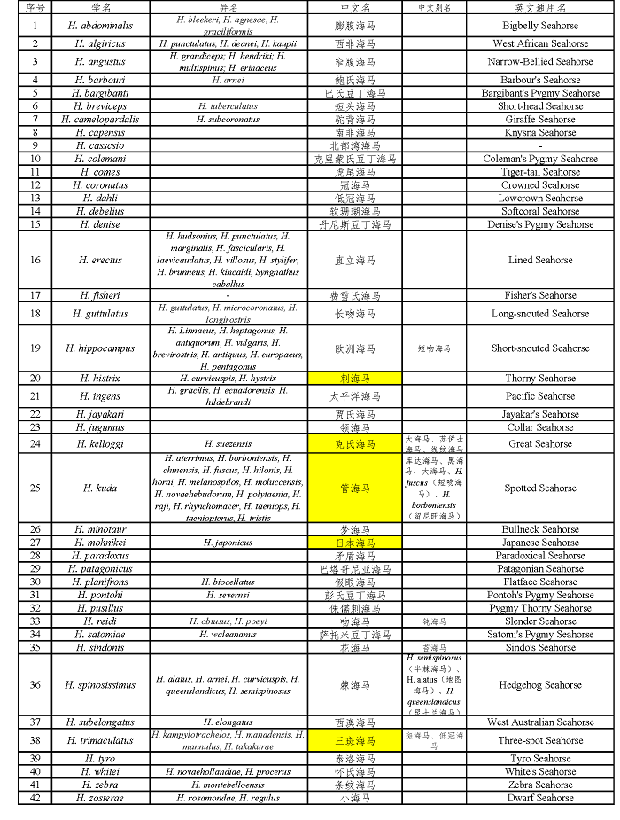 中药图鉴 全球42种海马鉴定检索表（建议收藏）(图2)