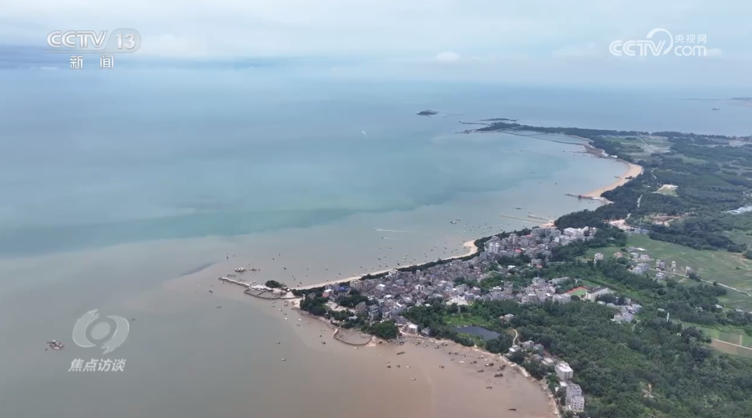 焦点访谈：守护蔚蓝 向海而兴(图2)
