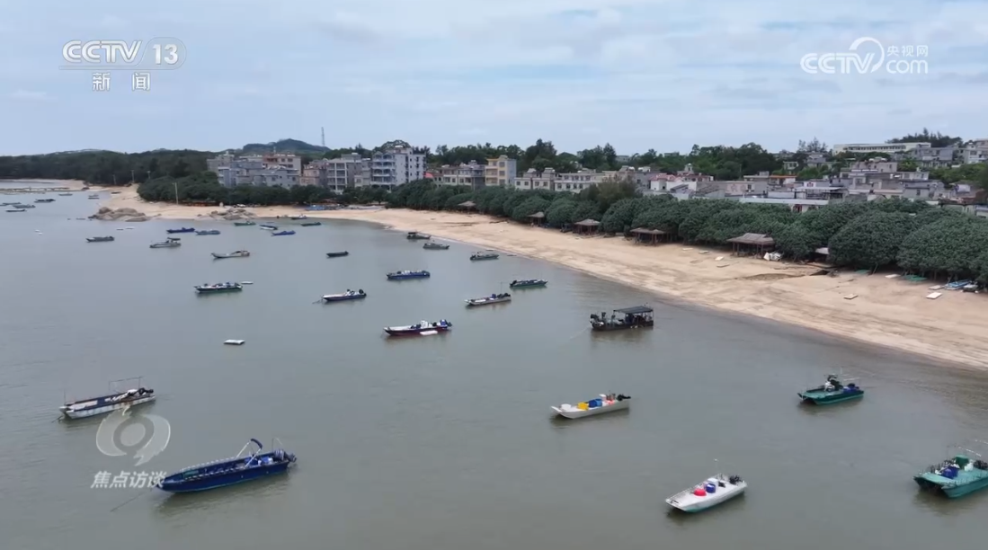 焦点访谈：守护蔚蓝 向海而兴(图3)