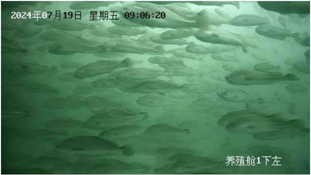 找到“最有价值”的鱼(图3)