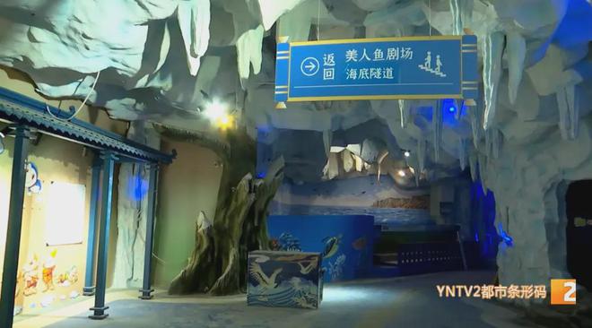 昆明这座新海洋世界即将开业(图2)