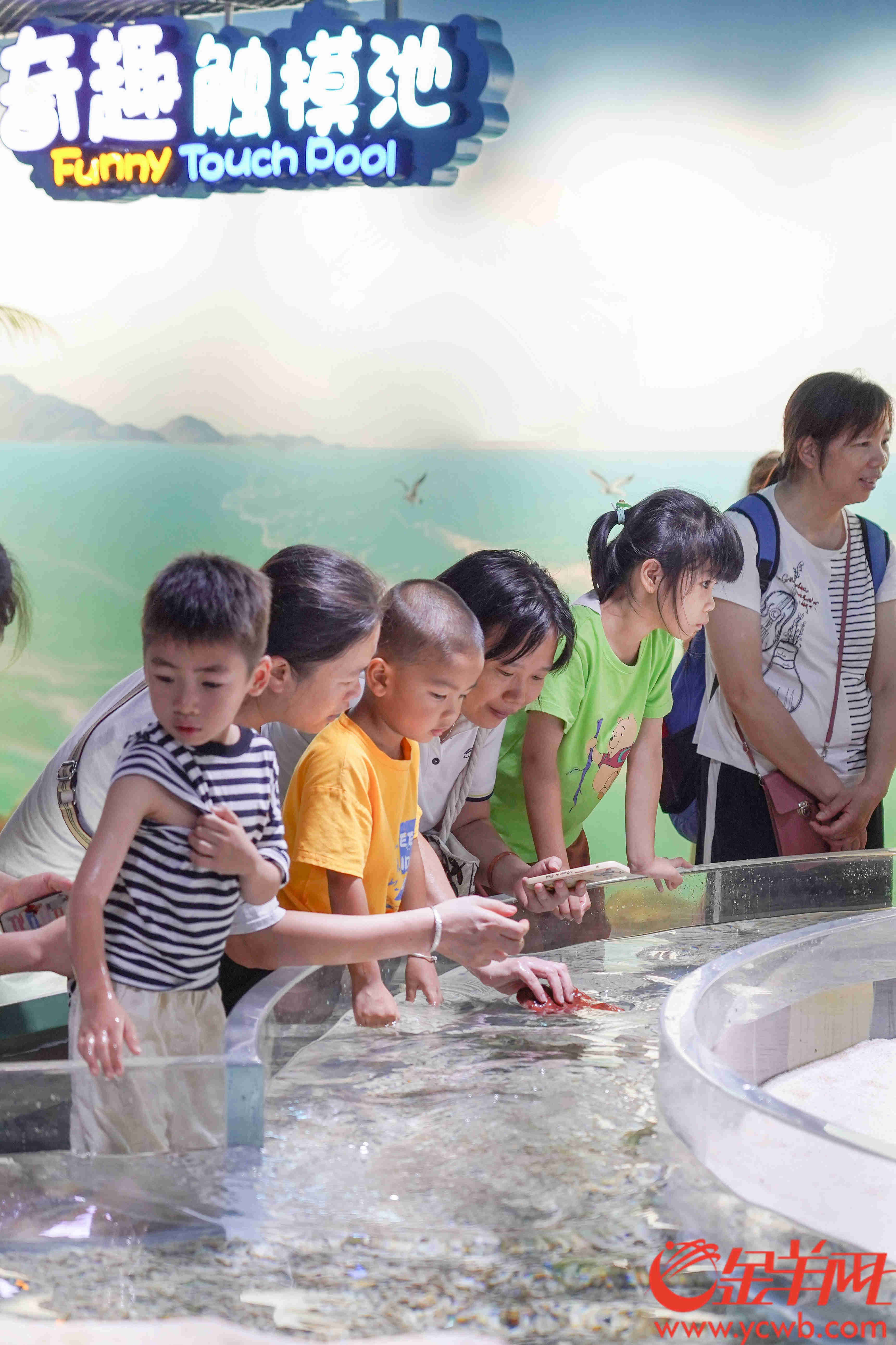 广州海洋馆焕新回归！6月25日开启“深海探险”之旅(图7)