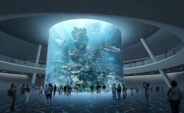 深圳新小梅沙海洋世界封顶(图3)