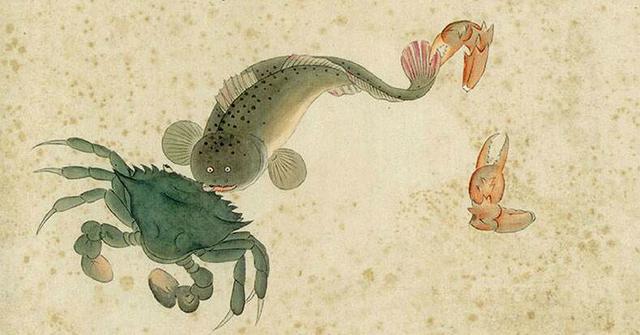 他300年前画的海洋生物图鉴堪称古代版的“海底总动员”(图2)