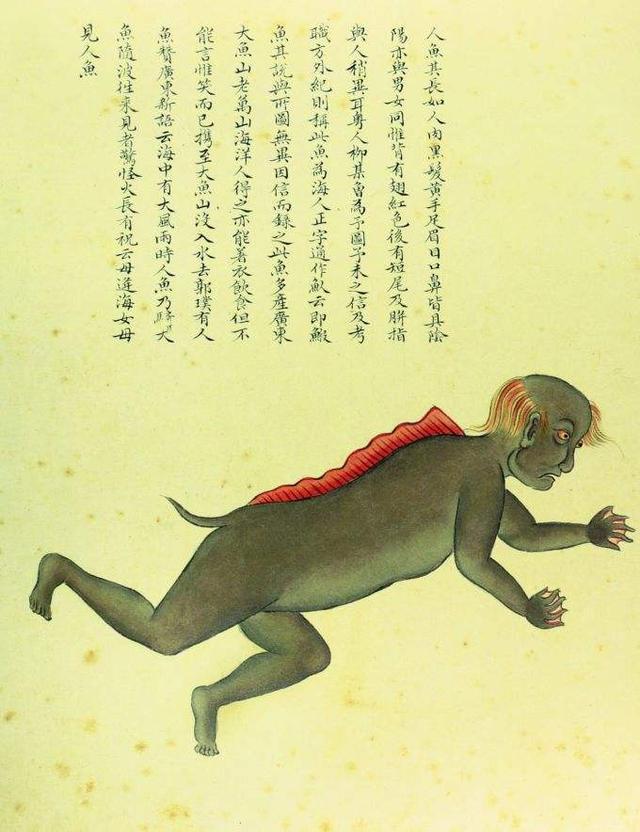 他300年前画的海洋生物图鉴堪称古代版的“海底总动员”(图4)