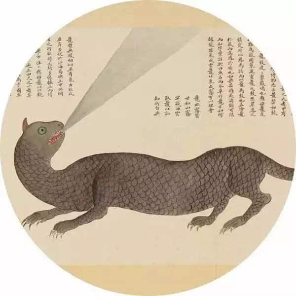 他300年前画的海洋生物图鉴堪称古代版的“海底总动员”(图8)