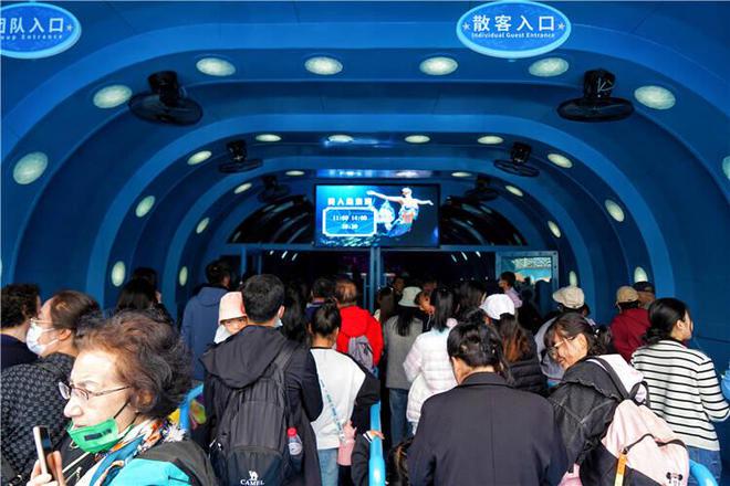 焕新开业！青岛极地二期新场馆惊艳亮相 全力打造青岛旅游新地标(图5)