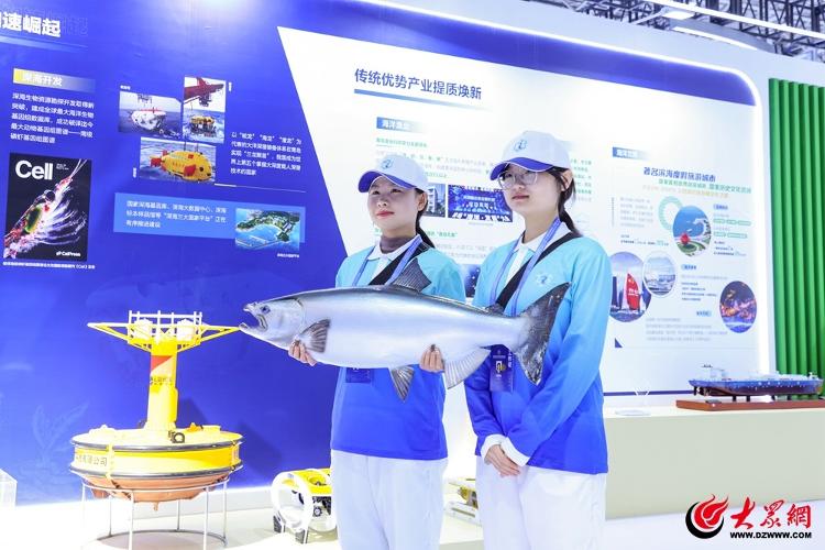 青岛西海岸新区222名青年志愿者服务保障2024海洋合作发展论坛(图4)