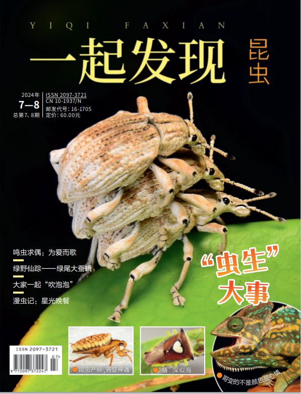 北京出版集团每周新书新作（2024年7月28日—8月3日）(图7)