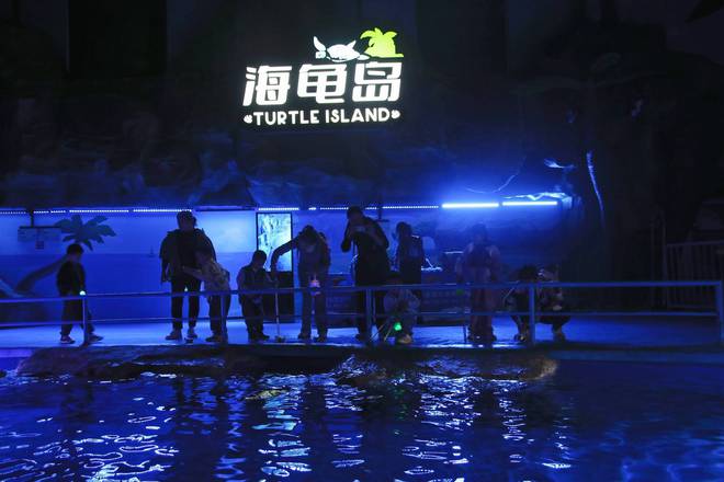 徐州欧乐堡海洋极地世界近距离接触海洋生物是研学游的好去处(图3)