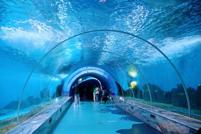 徐州欧乐堡海洋极地世界近距离接触海洋生物是研学游的好去处(图4)