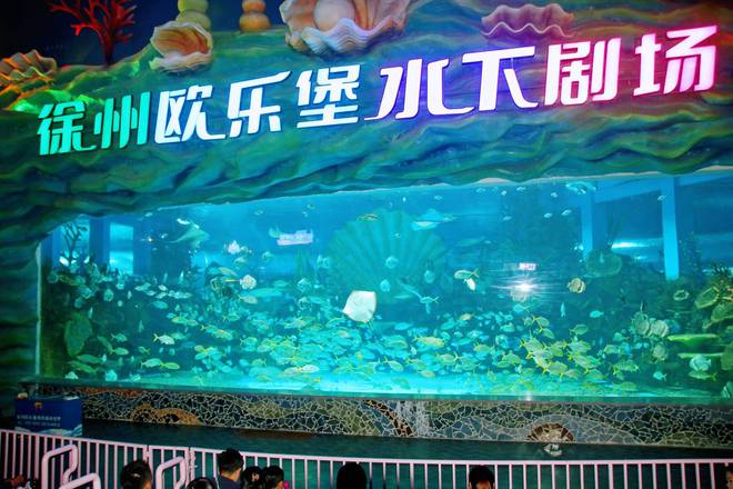 徐州欧乐堡海洋极地世界近距离接触海洋生物是研学游的好去处(图6)