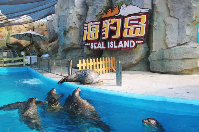 徐州欧乐堡海洋极地世界近距离接触海洋生物是研学游的好去处(图12)