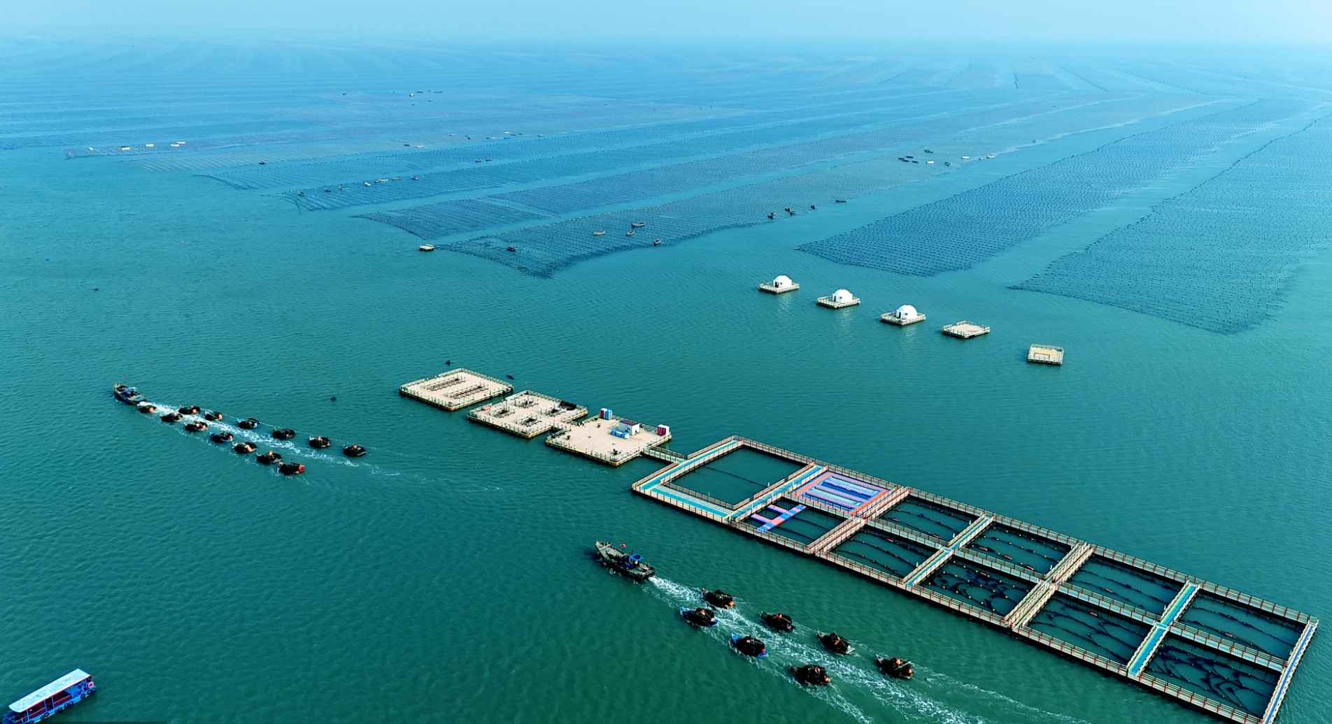 我国美丽海湾“颜”“质”双升 为全球海洋治理提供新思路、新范例(图3)