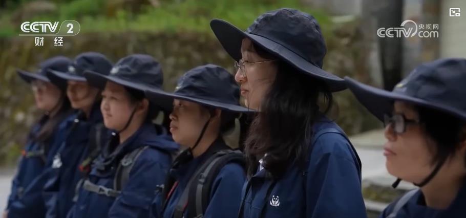 山清水秀看中国丨海底“植树造林”守护一片蔚蓝 呵护山林万物绘就“只此青绿”(图6)