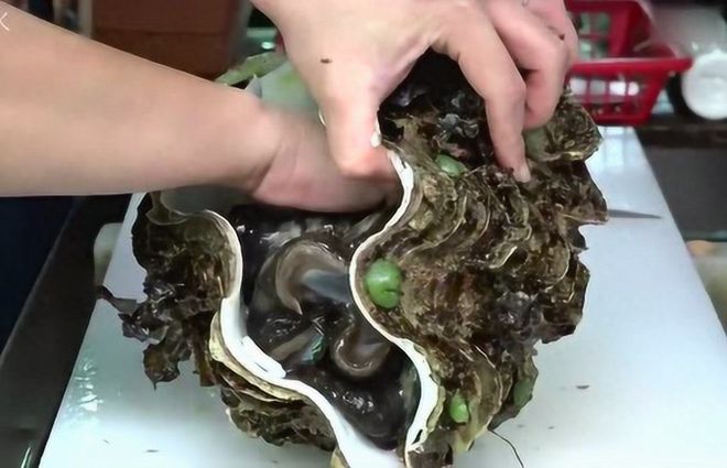 2023年南京海关查获砗磲制的“大白菜”价值连城太刑了！(图4)