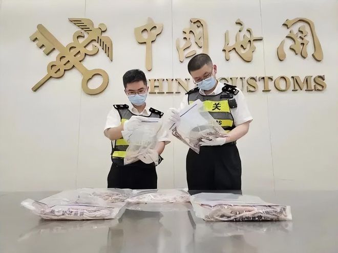 2023年南京海关查获砗磲制的“大白菜”价值连城太刑了！(图12)