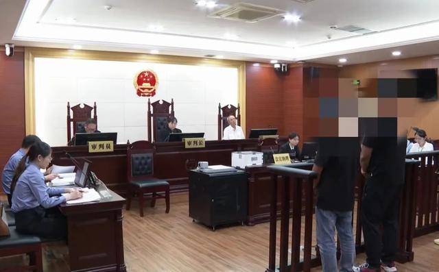 非法买卖鲸鲨获刑！(图3)