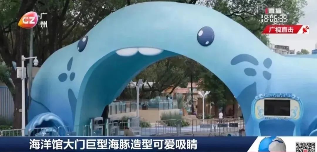 广州一公司破产26只海洋动物被拍卖！包括3头海豚、6只海豹、2头白鲸……成交价超2000万元(图6)
