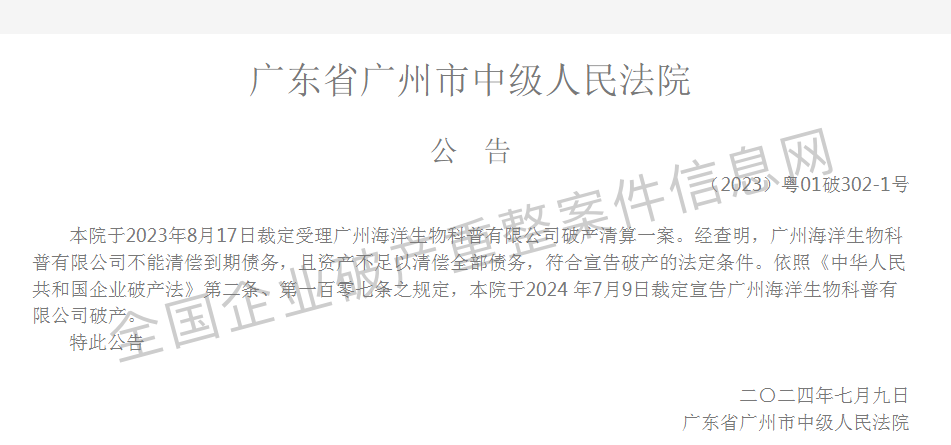 广州一公司破产26只海洋动物被拍卖！包括3头海豚、6只海豹、2头白鲸……成交价超2000万元(图3)