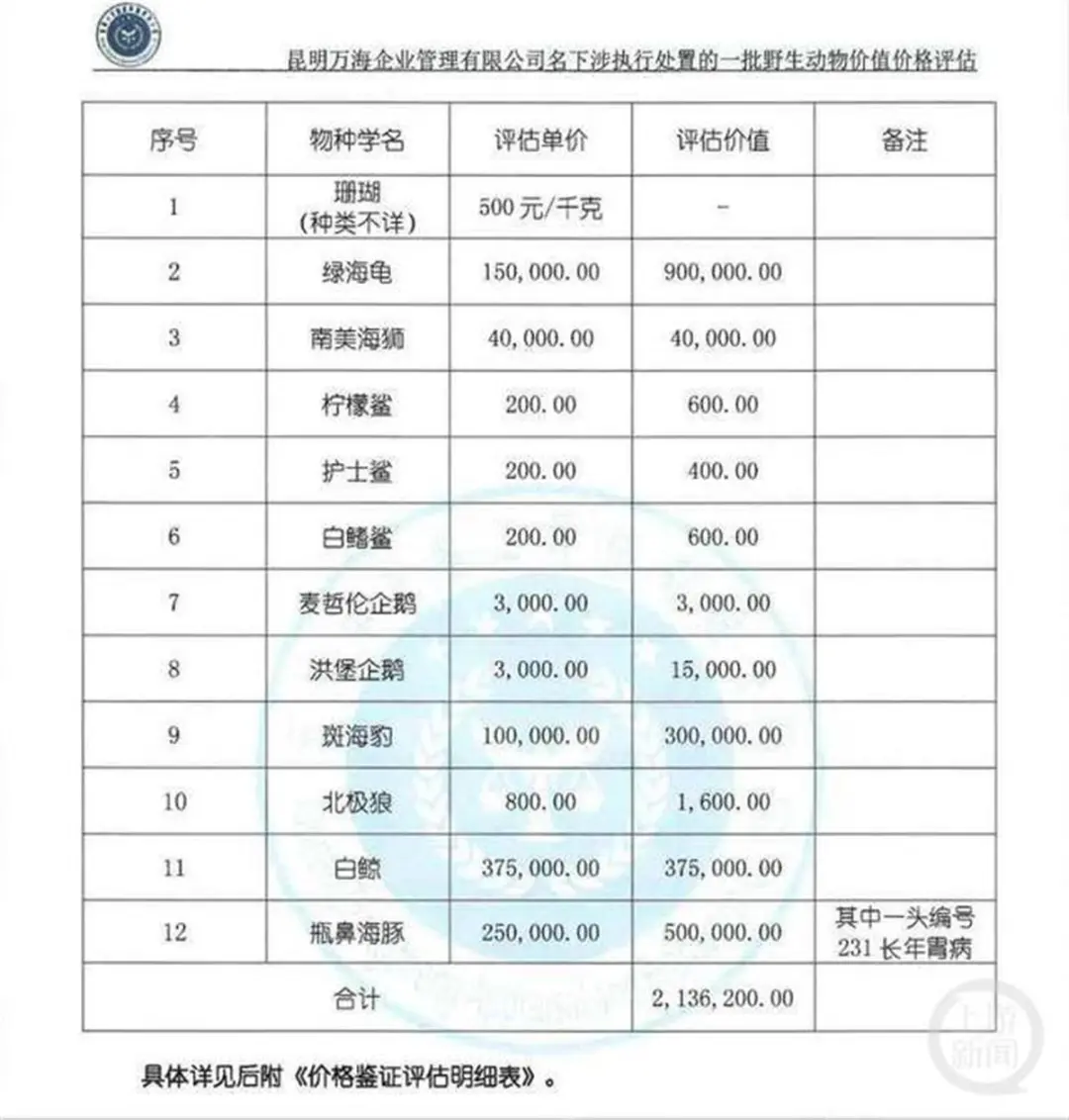 广州一公司破产26只海洋动物被拍卖！包括3头海豚、6只海豹、2头白鲸……成交价超2000万元(图8)