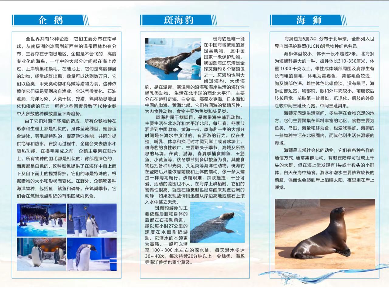 世界海洋日｜湘江欢乐海洋联合湖南省绿色卫士生态环境志愿服务队举办科普活动共筑蓝色梦(图2)