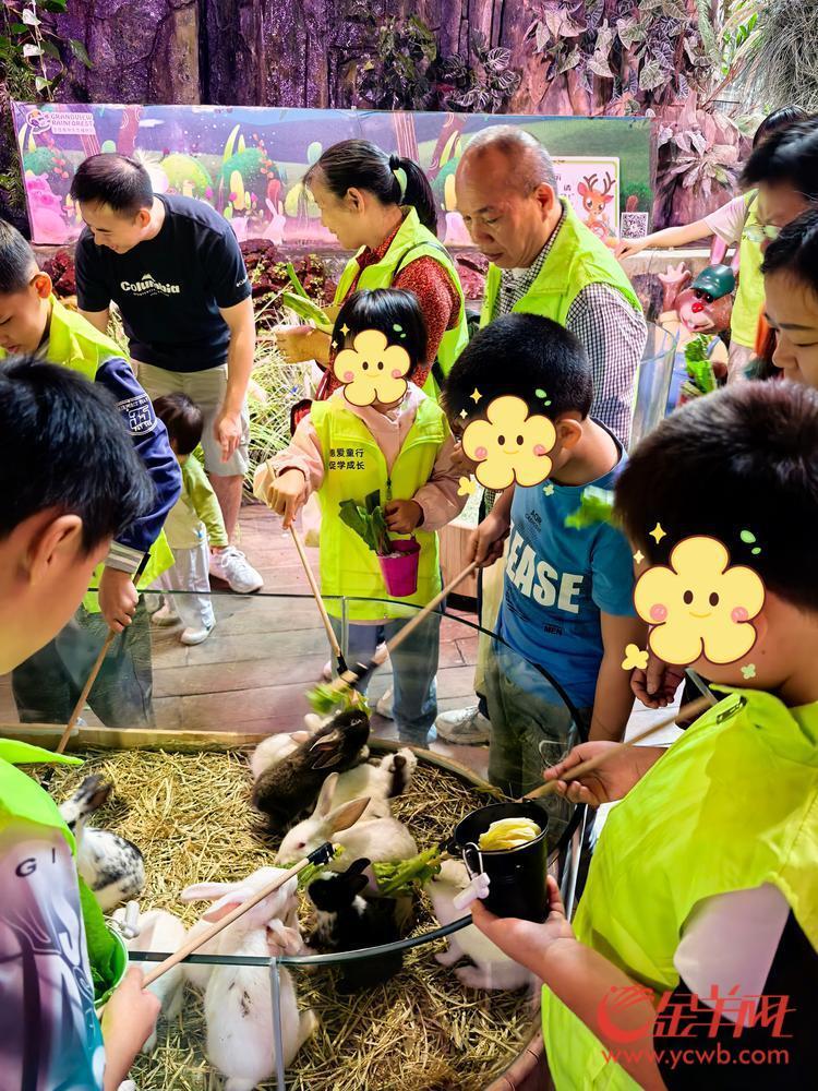 探索“雨林”“海底”广州这样关心困境、流动和留守儿童成长(图2)