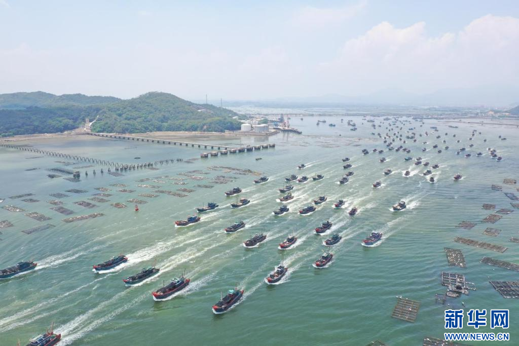 世界海洋日｜我们与海洋“羁绊”是一场双向奔赴(图3)