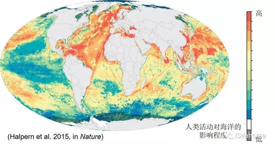 世界海洋日科普：8个你可能不知道的知识点(图7)