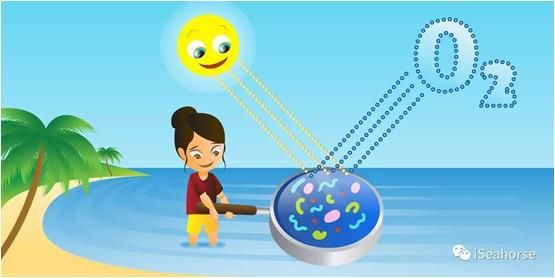世界海洋日科普：8个你可能不知道的知识点(图5)