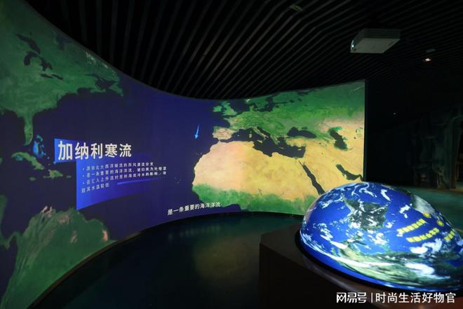 光影漫步海底两万里 小梅沙海洋世界探奇记(图2)