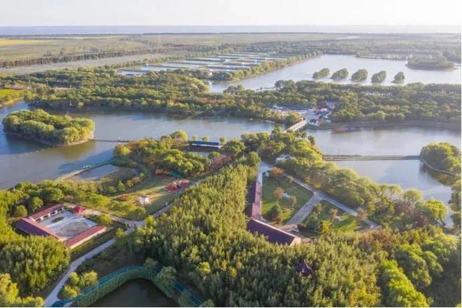 科技赋能助推绿色发展 2024上海崇明生态岛国际论坛举行(图2)