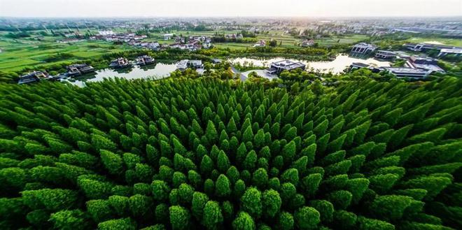 科技赋能助推绿色发展 2024上海崇明生态岛国际论坛举行(图4)