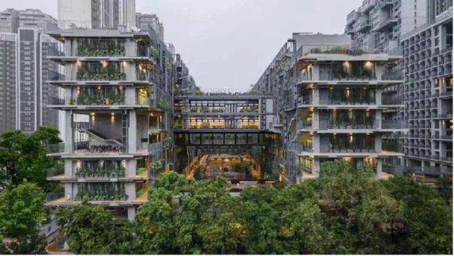 中国国际学校可持续发展教育实践典范(图19)