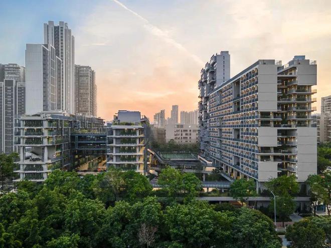 中国国际学校可持续发展教育实践典范(图20)