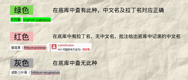 物种名称高效比对解决方案(图4)