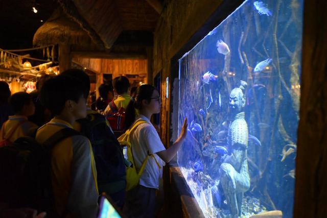 放飞海洋梦想 感受丝路传奇——西安市浐灞十二小华夏文旅研学之旅(图2)