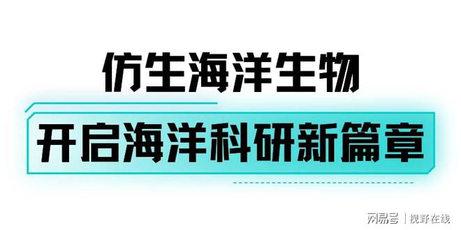 来小梅沙打卡华南首条机甲鲸鲨！揭开海洋巨兽之谜(图2)