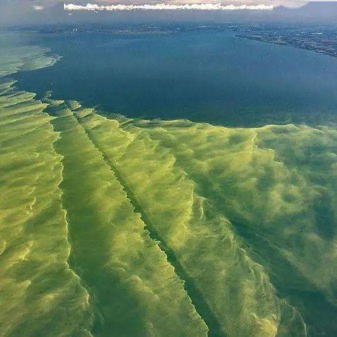 主播说海况细说海洋酸化(图2)