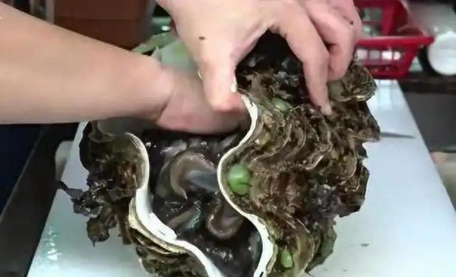 在中国的保护动物买它的壳都5年起步！日本人却吃出各种花样？(图9)