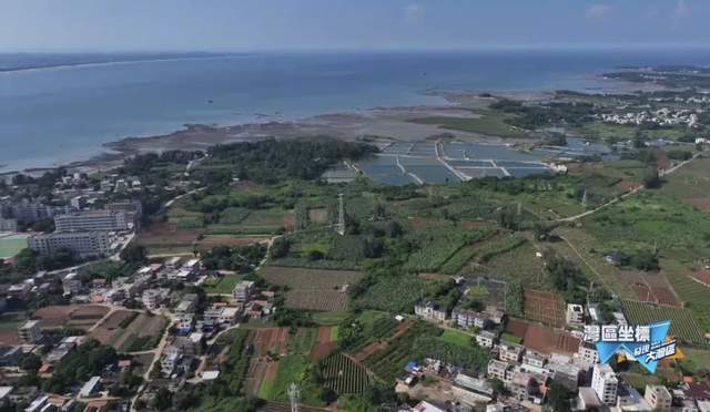 寻找中华白海豚｜发现大湾区(图2)